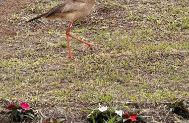 Casinha em Membeca - Foto 18