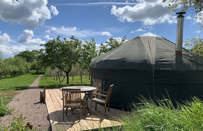 Dragon Orchard Retreat - Photo 28