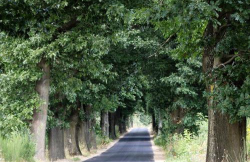 Godzisz - domek rekreacyjny - Foto 38