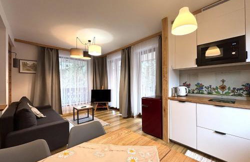 Apartamenty Kornaje - Szczawnica Jaworki - komfortowe apartamenty, basen, sauna, duży ogród, blisko szlaków i stoku narciarskiego - Photo 18