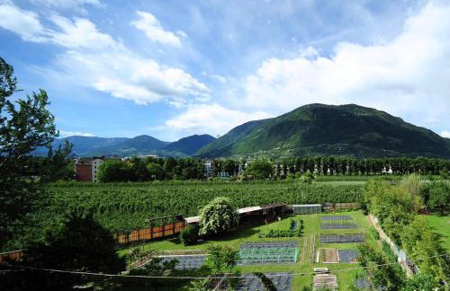Villa Sasso - Foto 5