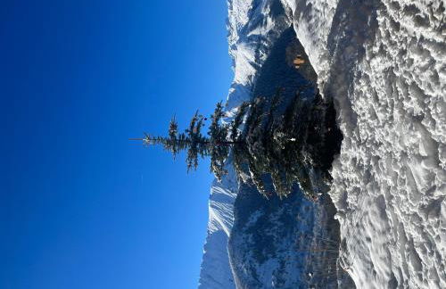 La scierie de la grande ourse - Photo 42