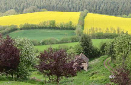 Robin Cabin with hot tub - Foto 23