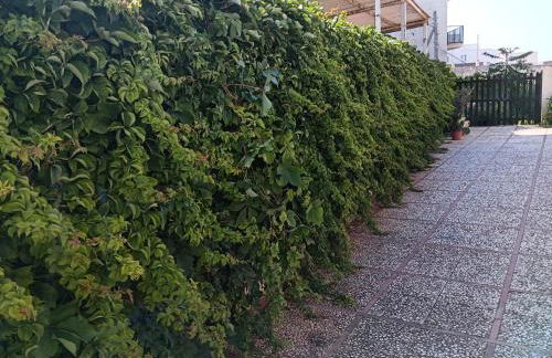 CASA VACANZA LA PALMA one MARINELLA DI SELINUNTE ONE - Foto 51