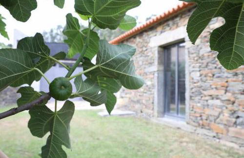 Quinta dos Avidagos AgroTurismo Mirandela - Foto 16