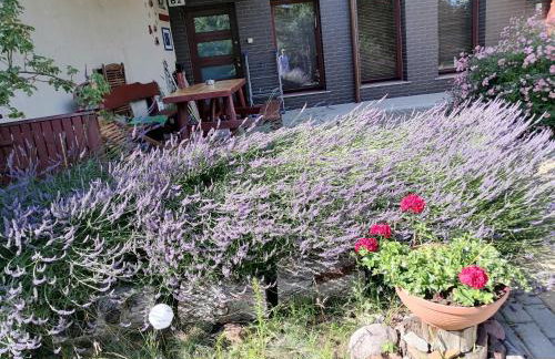 Leśna Wisełka - Foto 6