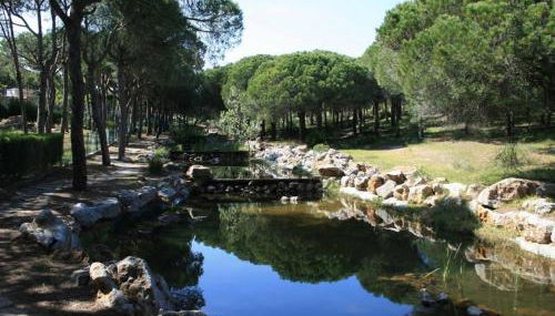 Algarve Praia Verde - Foto 5