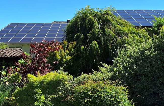 Relaxing Holiday Home in Willersdorf in the Forest - Photo 67