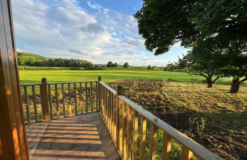 Unbox at Poplar Tree - Photo 70