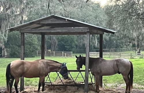 Double D Ranch - Foto 29