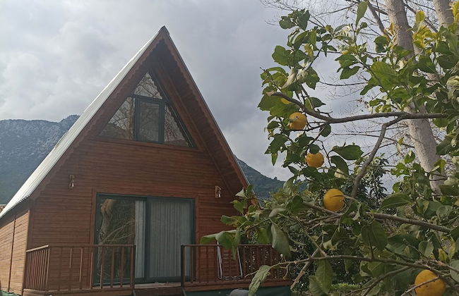 Adrasan Twin Aparts - Photo 6