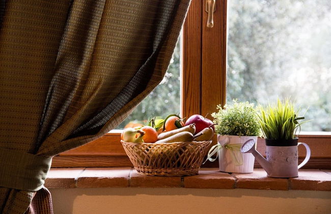 Tenuta Montemassi Podere Montauzzo - Foto 31