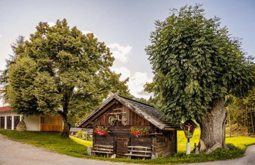 Forchnerhof Nature & Mountain View Apartments - Foto 47