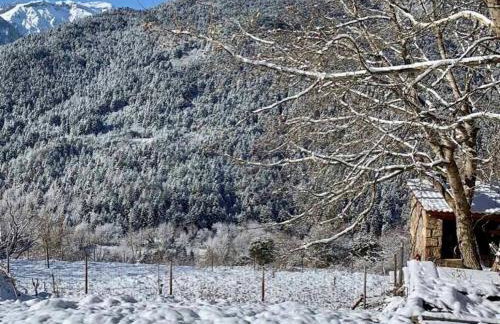 Ανάμεσα στα Έλατα - Foto 22