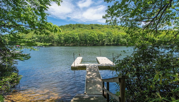 Servizio della struttura