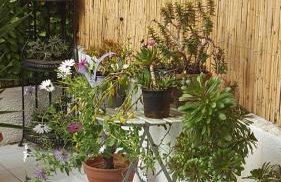 Nice France - Foto 10