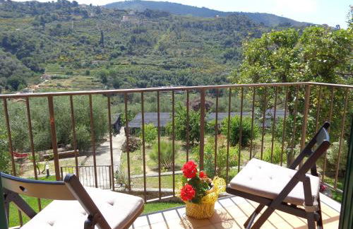 Agriturismo Turlin - Foto 11