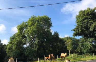 Gite équestre, belle maison ancienne en pierre - Foto 3