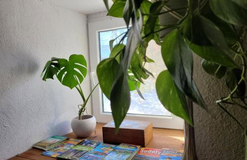 Na końcu dróżki - Foto 17