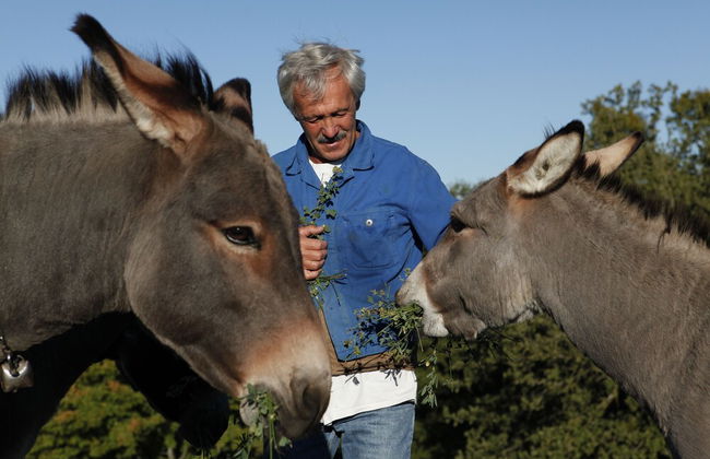 Agriturismo Walden - Photo 22