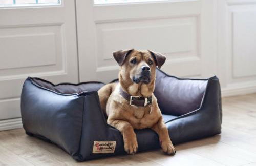 Ferienwohnung Smilla - Foto 12