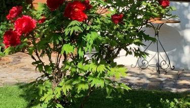 Ferienwohnung Fanese - Foto 4