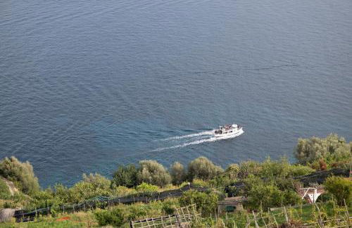 Il Rifugio Del Merlo - Foto 4