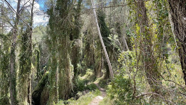 Nada en Fuentes termales y explora el cañón de Montanejos. - Foto 4