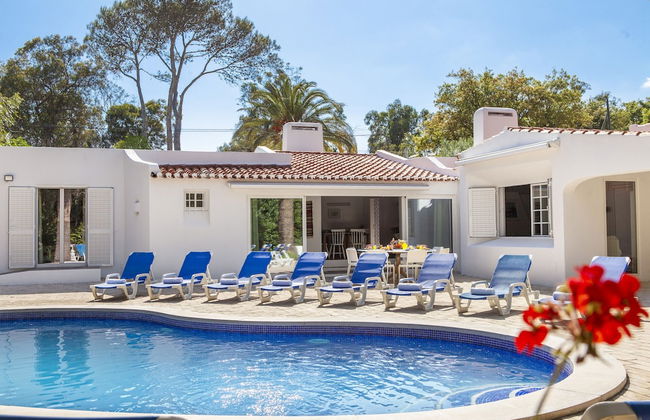 Villa AlGharif - Photo 55