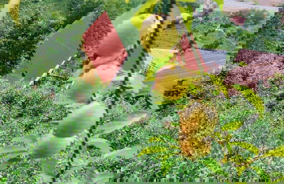 Begi Apart Bungalov - Foto 14