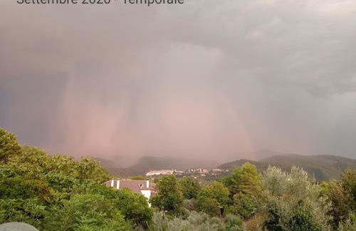 Residence Grimani - Photo 3