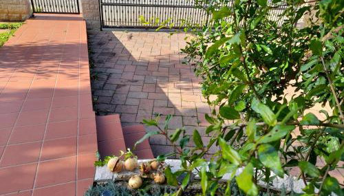 Studio appartman Iva - Photo 2