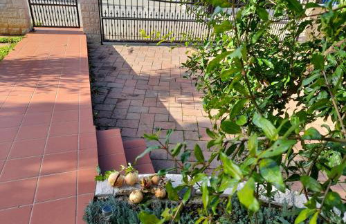 Studio appartman Iva - Photo 2