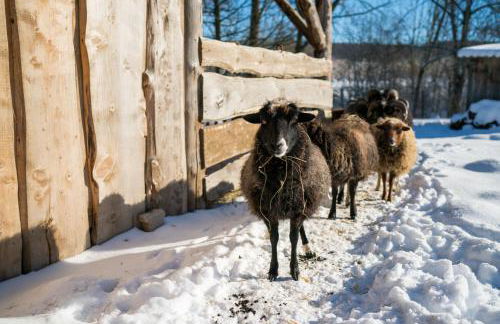 Ferienhof Homann Sauerland - Foto 47