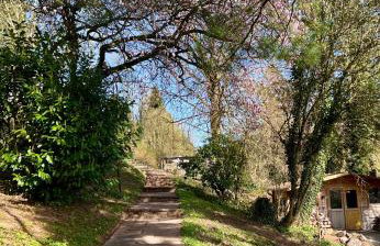 Anna's Waldchalet - FeWo Waldblick - Foto 15