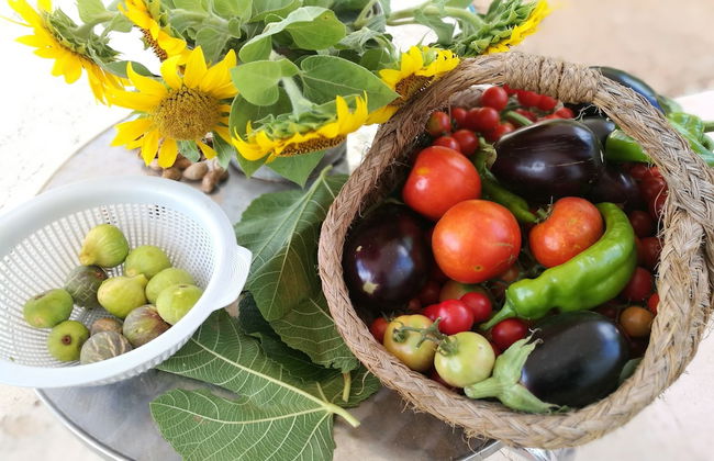 Agroturismo Can Prats - Foto 47