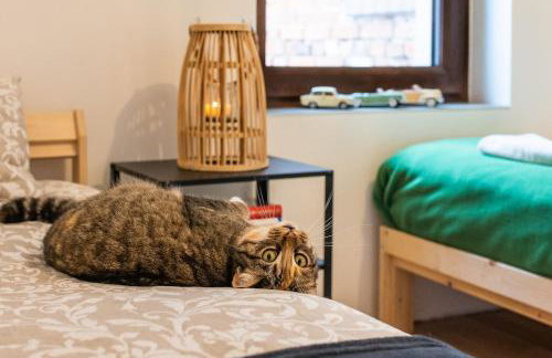 Agroturystyka Świętego Józefa - Foto 50