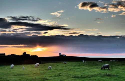 Main Street Cottage, Ballintoy - Foto 3