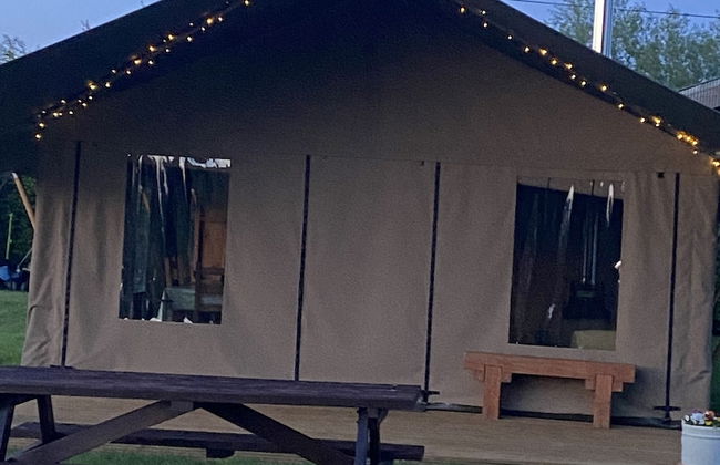 Dawn Chorus Holidays - Foto 68