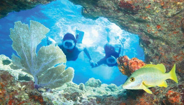 Snorkeling a Key West - Foto 3