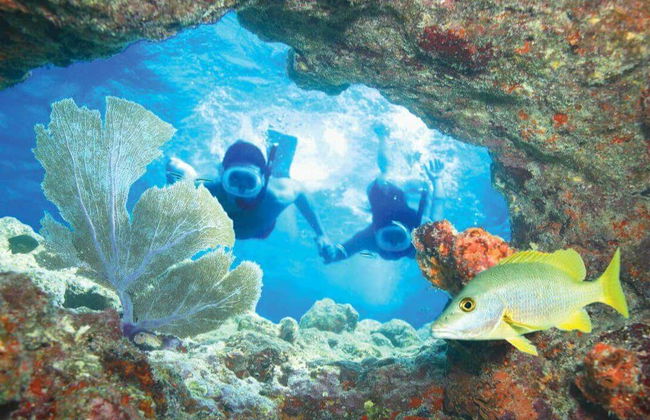 Snorkel en Cayo Hueso - Foto 3