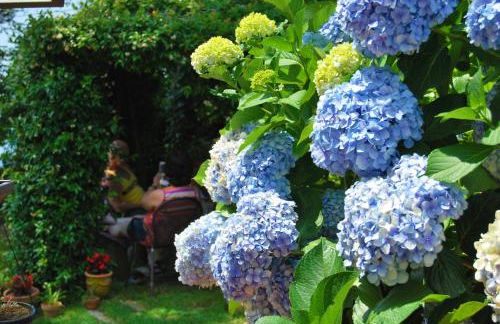 Nido Degli Dei - Foto 18