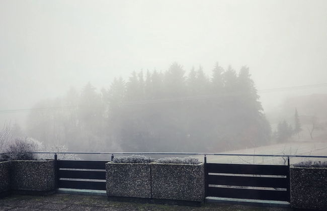 Ebnisee Apartments - Foto 35