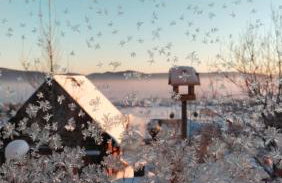 Domek Pod Lasem - Foto 36