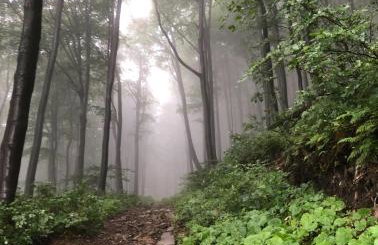 Jaśminowa Pracownia - Foto 21