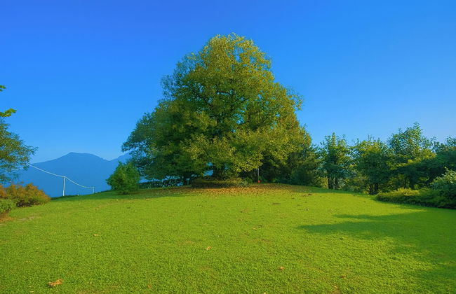 Villa Il Castagno - Photo 23