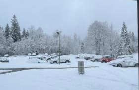 Charmant Studio - Foto 2