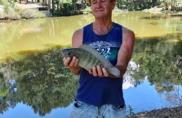 Sítio é Benção em Igaratá - Foto 42