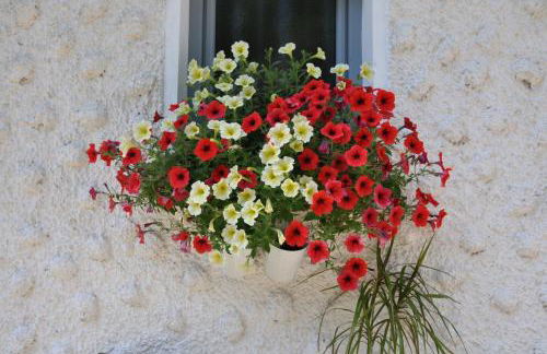 Ferienwohnung Regentalblick - Photo 26