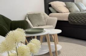 Komfort-Apartment für Geschäfts- & Städtereisen - Foto 3